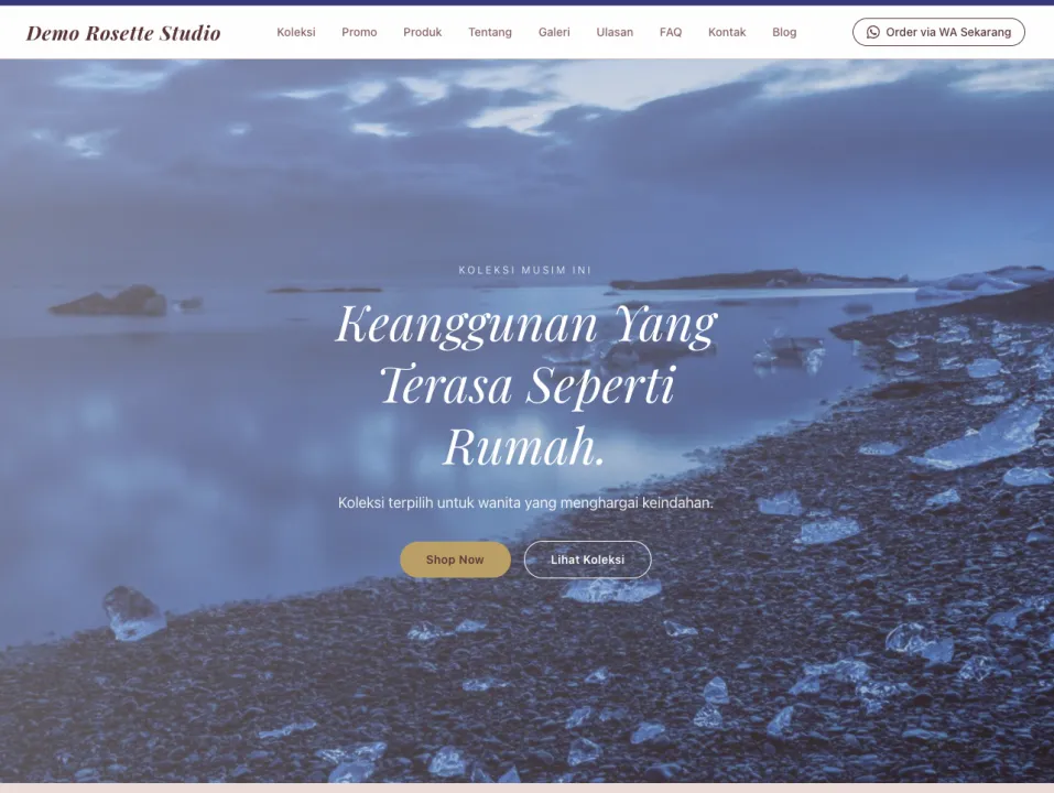Template Fashion Store Elegan